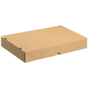 Carton With Lid 305x215x50mm Brown (Pack of 10) 144666114