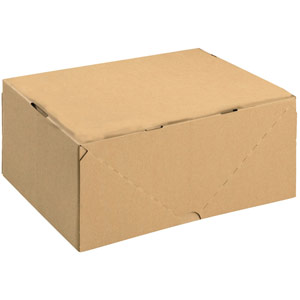 Carton with Lid 305x215x150mm Brown (Pack of 10) 144668114